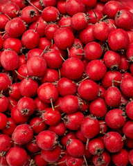 Hawthorn berries clustered together, showcasing vibrant red color and smooth texture, creating a visually appealing natural scene with organic elements