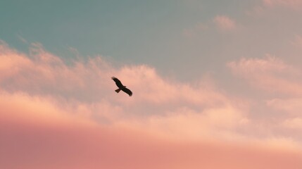 Fototapeta premium Bird flies in a pastel sky; pink, blue, & white clouds blend in the horizon's soft light