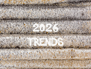 2026 Trends new year symbol. Concept words 2026 Trends on beautiful grey mountain wall. Beautiful grey mountain wall background. Business and 2026 Trends new year concept. Copy space.