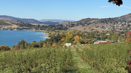 A scenic orchard and lake in Vernon, British Columbia