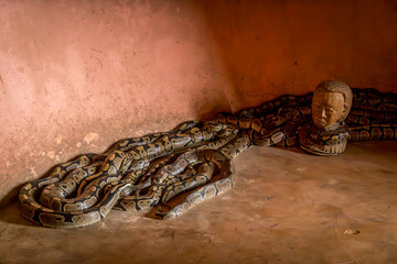 Python inside the Sacred Python Temple in Ouidah, Benin, West Africa.
