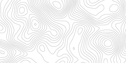 Topographic line map. Abstract topographic map banner with copy space.White background.