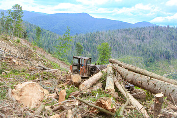 Deforestation in the mountains, logging and environmental destruction