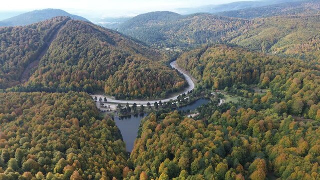 The colors of the tree leaves in the mountains in autumn and the winding, dangerous road. 