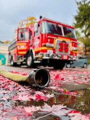 Fire Engine in the fall leaves. 