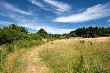 Obraz premium Heidelandschaft Blumenrather Heide in der Eifel - Stockfoto