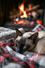 Siamese Cat Relaxing by Fireplace on Cozy Plaid Blanket