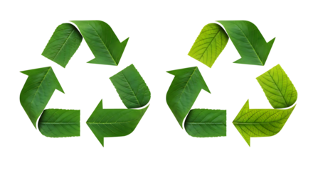 Recycling symbol made of green leaves isolated on transparent background