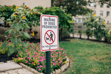 Sign indicating dog walking prohibition in a well-maintained garden area near a residential building