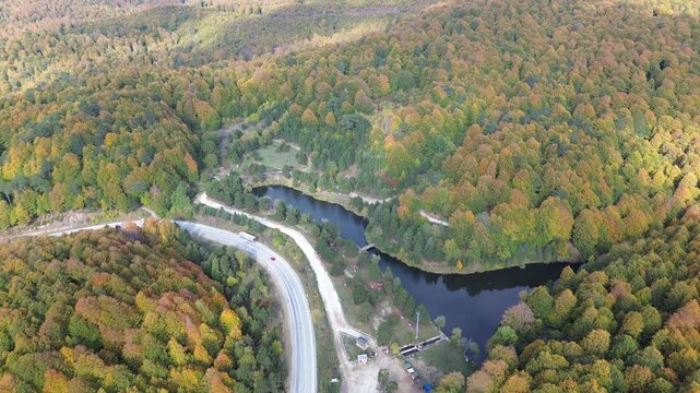 The colors of the tree leaves in the mountains in autumn and the winding, dangerous road. 