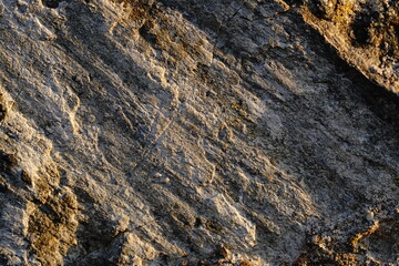 Close-Up Texture of Weathered Rock Surface in Warm Sunlight