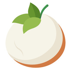 Vector of mozzarella on white background