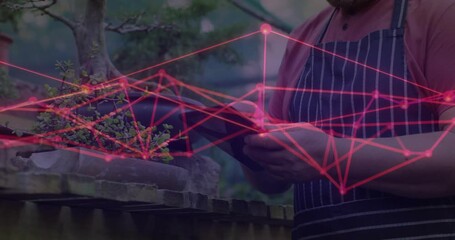Senior gardener tapping tablet tech, rotating and animating red overlay analyzing bonsai foliage