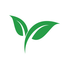 Green leaf ecology nature element