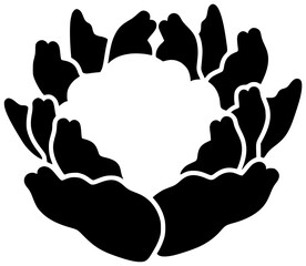 fresh illustration cauliflower silhouette food logo vegetarian icon vegetable outline diet organic healthy cabbage nutrition agriculture plant nature white shape with vector graphic background