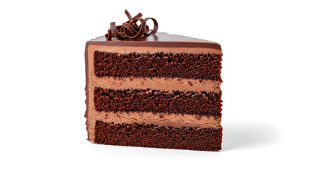 Slice of chocolate cake with layers