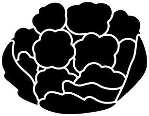 fresh illustration cauliflower silhouette food logo vegetarian icon vegetable outline diet organic healthy cabbage nutrition agriculture plant nature white shape with vector graphic background