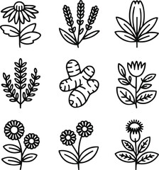 "Minimal botanical leaf and flower line art collection isolated on transparent background, vector illustration"