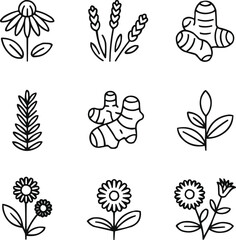 "Minimal botanical leaf and flower line art collection isolated on transparent background, vector illustration"