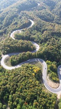 The colors of the tree leaves in the mountains in autumn and the winding, dangerous road. 