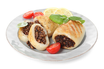 Pieces of tasty grilled squid stuffed with mushrooms, basil, tomatoes and lemon isolated on white