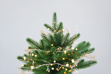 Festive christmas tree with twinkling lights against white background Close-up