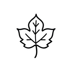 black and white flower