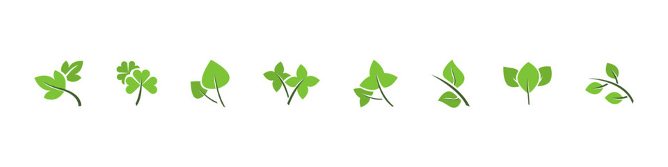 Green leaf set. Eco natural plant sign. Isolated leaf vector set. Ecology eco nature sign.