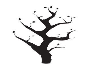 Sleek aspen tree silhouette illustration in simple 2D vector artwork