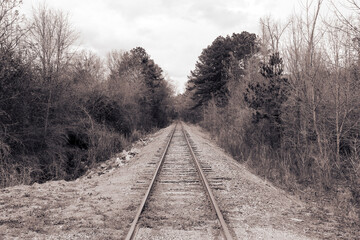 Obraz premium A long railroad track stretches into the distance between leafless trees and overgrown bushes under a cloudy sky creating a quiet scene of solitude and rustic nature