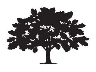 Fototapeta premium Chestnut tree broad canopy silhouette in graceful 2D vector line art