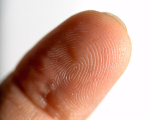 Extreme close-up of human fingerprint details revealing unique whorl patterns and skin texture for identity and security concepts