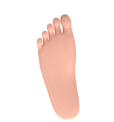 3d Isolated Right Foot Illustration