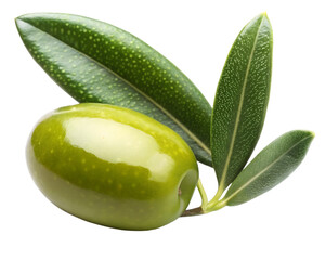 Single ripe green olive, with textured leaves on a stem, cutout, PNG isolated on white or transparent background
