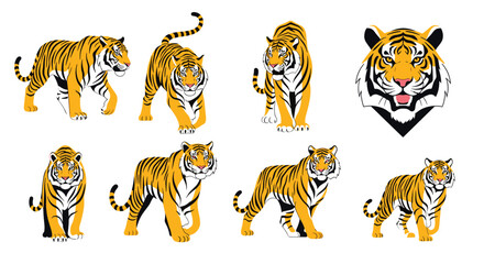 Tiger illustrations collection on white background.