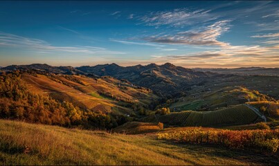 Rolling hills with vineyards bathed in golden light under a vibrant blue sky