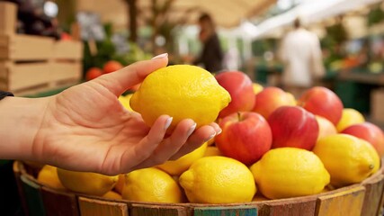 Close up shot of a woman carefully selecting a perfectly ripe lemon from a rustic basket at a bustling farmers' market. Capturing the moment of hand picking out fresh organic produce - Powered by Adobe