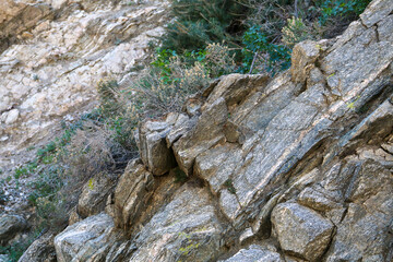 Jagged rocky cliff face with sharp angles and cracks features sparse green shrubs and dry plants growing in crevices under natural sunlight highlighting the rough stone texture
