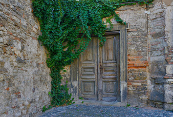 Naklejka premium An old wooden double door set in a stone wall. Lush green ivy climbs across the wall and partly covers the doorway, adding contrast and a touch of nature reclaiming the structure.