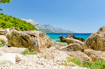 Croatian coastline with adriatic sea, rocky shore, green pine trees and mountains in the background under a bright blue summer sky.