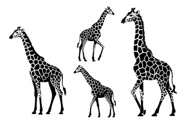 giraffe vector illustration