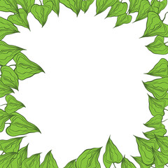 Fototapeta premium Hand drawn plants, dividers, wreaths, border frames. Circle floral frame with leaves on white background. Vector hand drawn illustration for wallpaper, posters, card. Copy space. Doodle style.