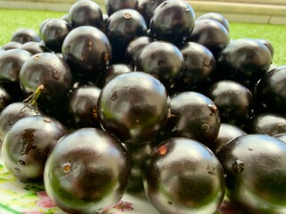 Jabuticabas frescas e brilhantes, colhidas do pé, exibem toda a riqueza e o sabor autêntico do Brasil. Frutas tropicais cheias de cor, frescor e natureza em cada detalhe.