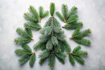 Pine tree branches frame on white background