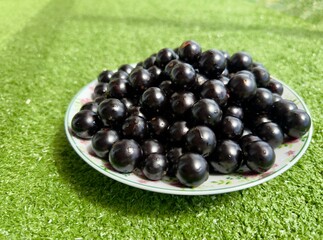 Jabuticabas frescas e brilhantes, colhidas do pé, exibem toda a riqueza e o sabor autêntico do Brasil. Frutas tropicais cheias de cor, frescor e natureza em cada detalhe.