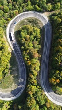 The colors of the tree leaves in the mountains in autumn and the winding, dangerous road. 