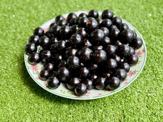 Jabuticabas frescas e brilhantes, colhidas do pé, exibem toda a riqueza e o sabor autêntico do Brasil. Frutas tropicais cheias de cor, frescor e natureza em cada detalhe.