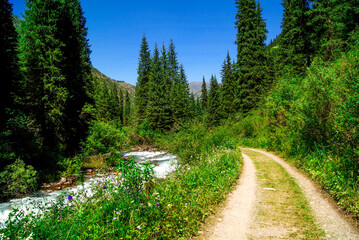 Mountain landscape with a winding road in Almaty, Kazakhstan. Evergreen trees and fast flowing river in Tian Shan mountains. For travel brochures, nature calendars, or promotional for eco-tourism