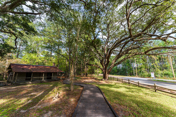 Boardwalk at Big Thicket National Preserve, Texas, USA