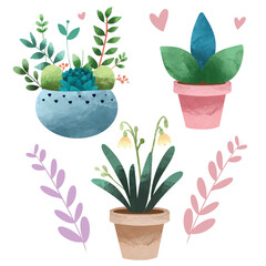 Potted plants set. Interior houseplants in planters, baskets, flowerpots. Home indoor green decor. Set collection vector illustration watercolor 